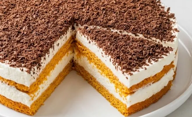 Brza i kremasta domaća Plazma torta sa čokoladom bez pečenja kora