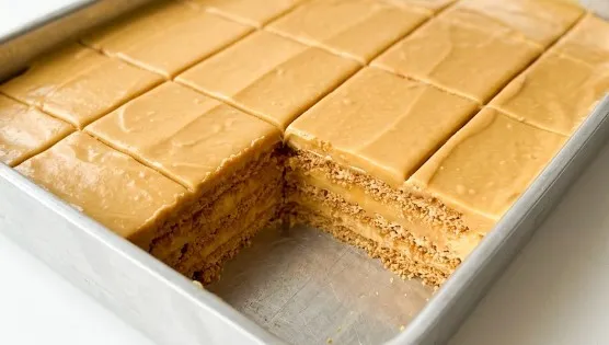 Karamel Plazma Torta: Umetnost slatke harmonije